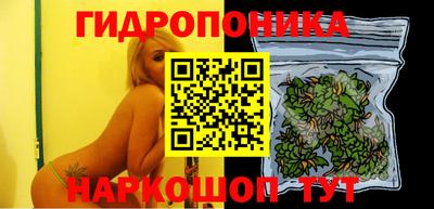 крисы Бузулук