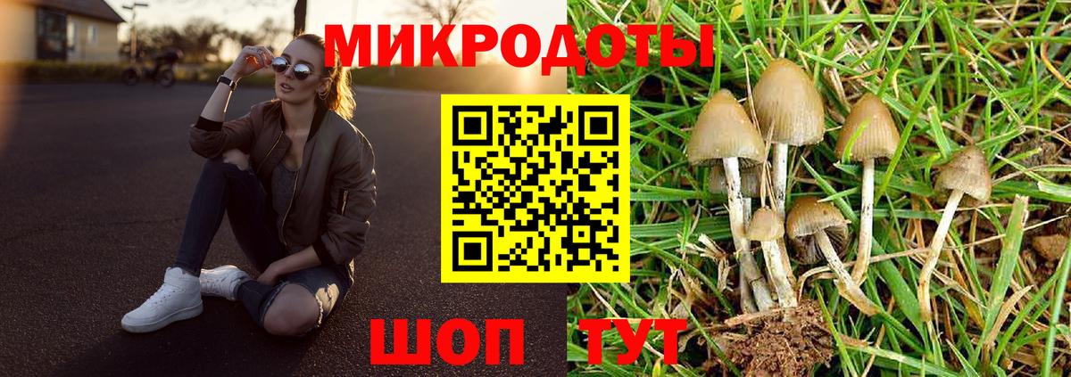 Псилоцибиновые грибы Psilocybine cubensis Сарапул